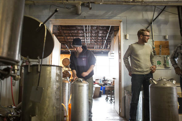 "That dog has a puffy tail."